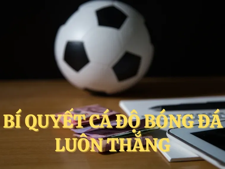 Bí Quyết Thắng Lớn Khi Cá Cược Bóng Đá S666 Hiệu Quả Nhất
