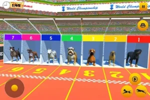 Bí Kíp Chơi Game Nhanh Đua Chó Tại S666 Để Thắng Lớn Trong Tích Tắc