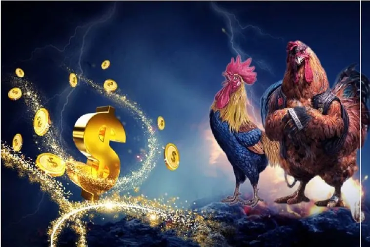 Bí Quyết Chơi Đá Gà WS168 Tại S666 Dễ Thắng Cho Người Mới Tham Gia