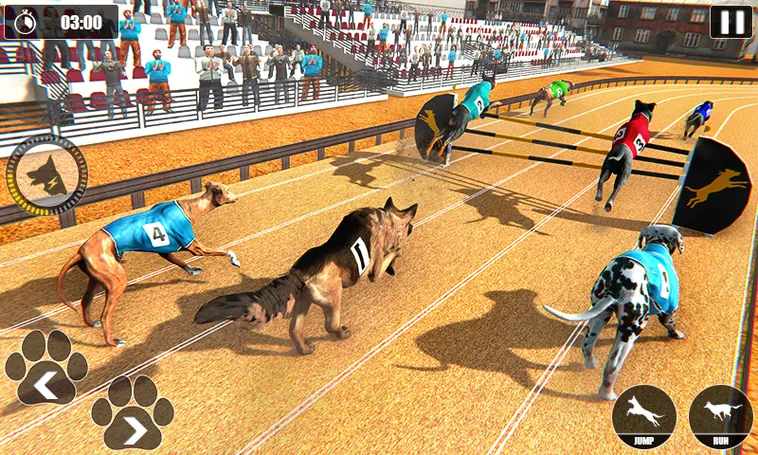 Bí Kíp Chơi Game Nhanh Đua Chó Tại S666 Để Thắng Lớn Trong Tích Tắc