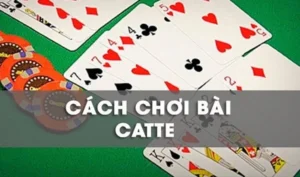Hướng Dẫn Chơi Sắc Tê Nhà Cái S666 Thắng Lớn Dành Cho Tân Thủ