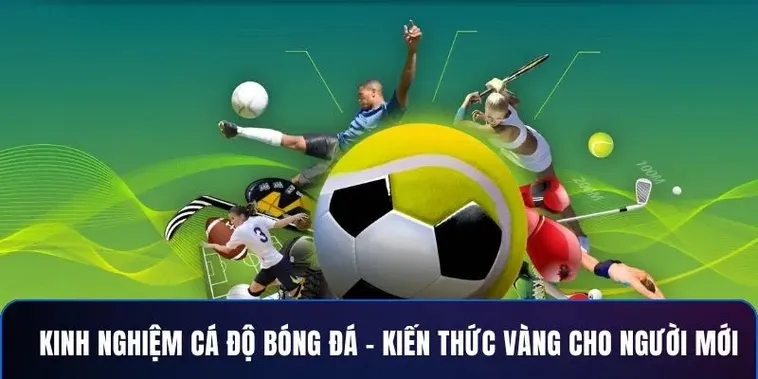 Bí Quyết Thắng Lớn Khi Cá Cược Bóng Đá S666 Hiệu Quả Nhất